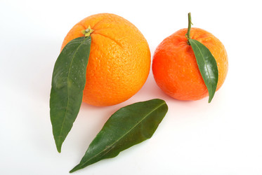 Similar image 210156