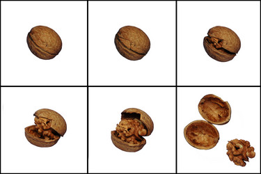 Similar image 210177