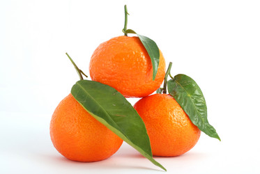 Similar image 210194