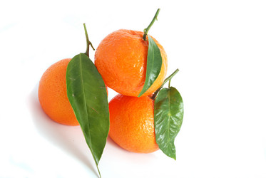 Similar image 210195