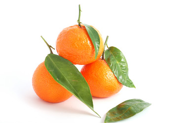 Similar image 210196