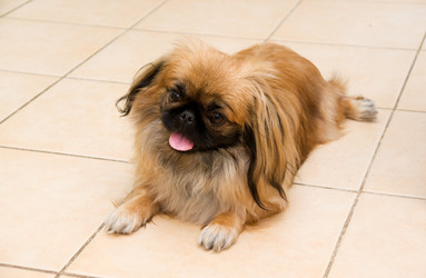 Similar image 210225