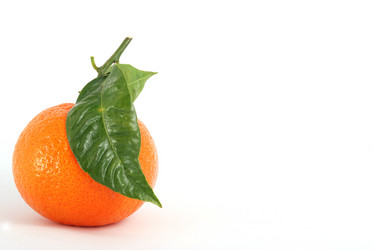 Similar image 210270