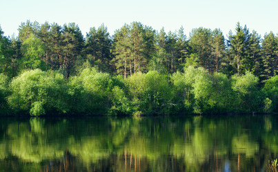 Similar image 210324