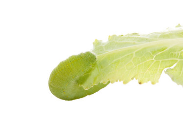 Similar image 210325