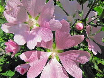 Similar image 210346