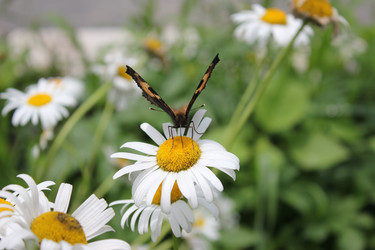 Similar image 210355