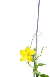 Similar image 210359