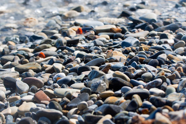 Similar image 210375