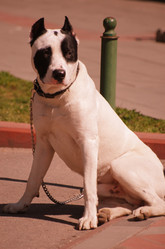 Similar image 210378