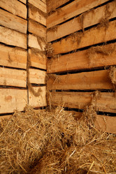 Similar image 210403