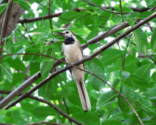 Similar image 210411