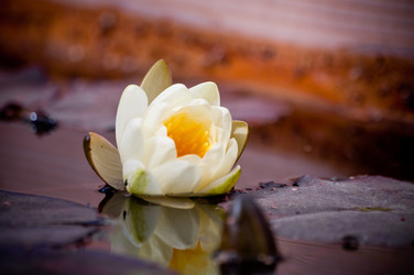 Similar image 210412