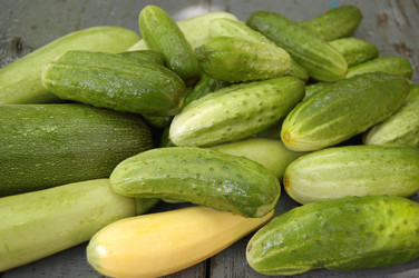 Similar image 210415