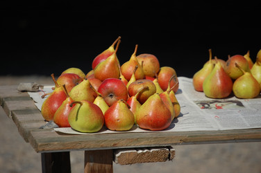 Similar image 210418