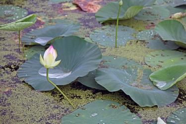 Similar image 210437