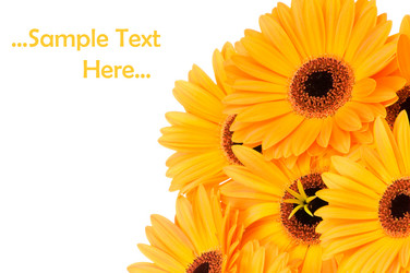 Similar image 210491