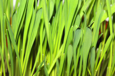 Similar image 210500