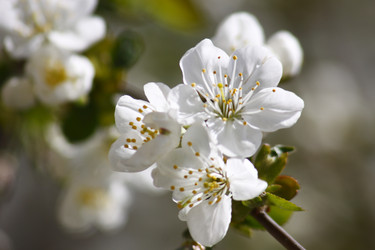 Similar image 210519