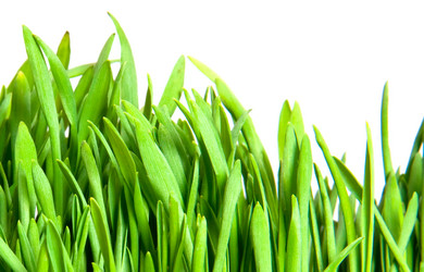 Similar image 210525