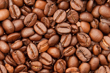 Similar image 210527