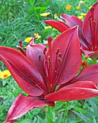 Similar image 210591