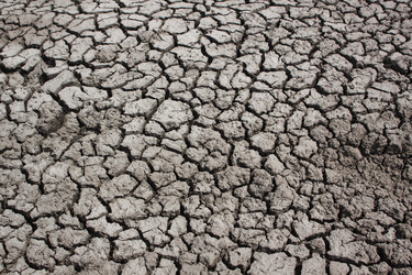 Similar image 210593