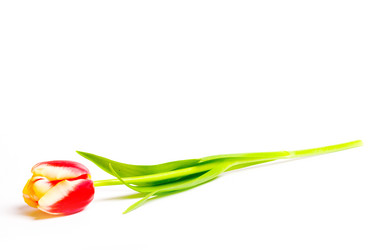 Similar image 210605