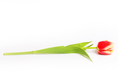 Similar image 210657