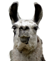 Similar image 210663