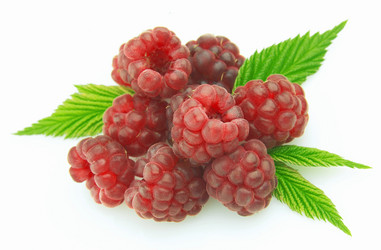 Similar image 210667