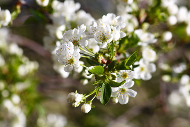 Similar image 210732