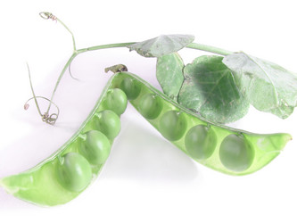 Similar image 210773