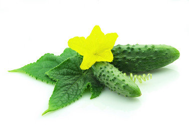 Similar image 210774