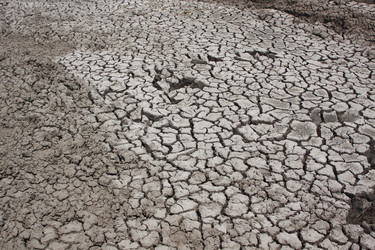 Similar image 210778