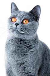 Similar image 210786