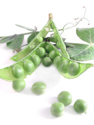 Similar image 210788