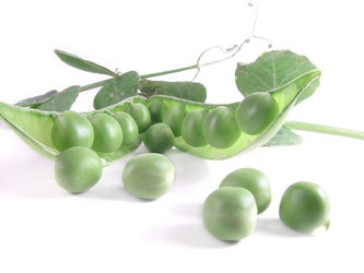 Similar image 210789