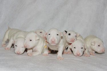 Similar image 210795