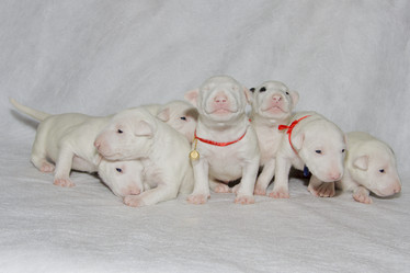 Similar image 210796