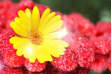 Similar image 210799