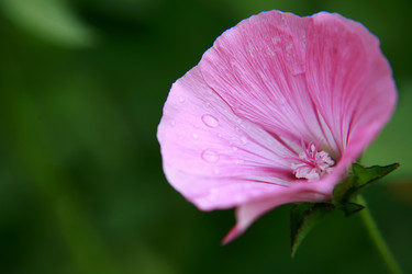 Similar image 210808