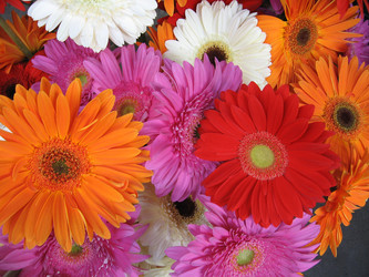 Similar image 210855