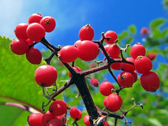 Similar image 210879