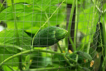 Similar image 210941