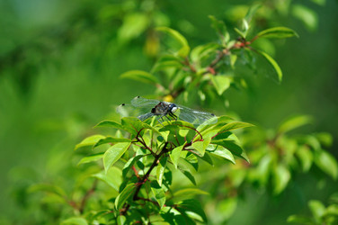 Similar image 210976