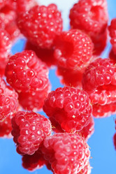 Similar image 210984