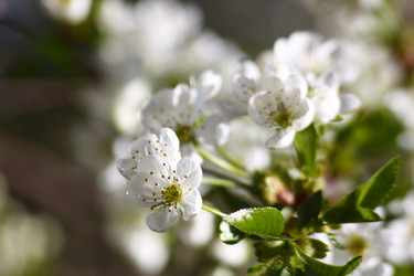 Similar image 210986