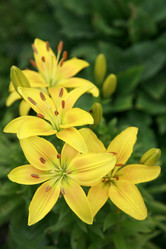 Similar image 210987