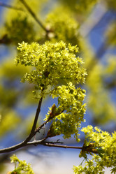 Similar image 210993